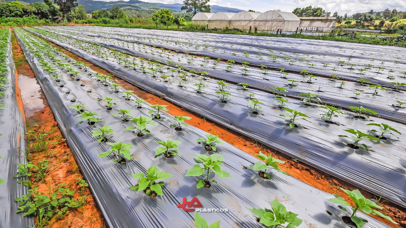 Plásticos na Agricultura: Soluções Sustentáveis